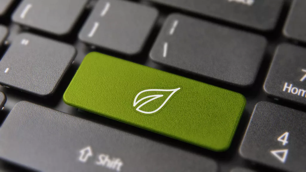 Green leaf on keyboard to represent Interview with Logitech Head of Sustainability Robert O'Mahony