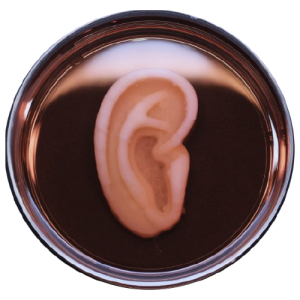 Sci-Fi Tech influences Healthcare - 3D Bio-printing Ear