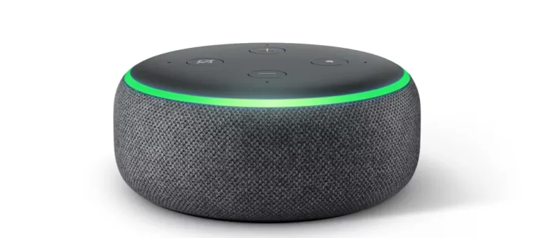 What does the green light on an Amazon Echo speaker mean?