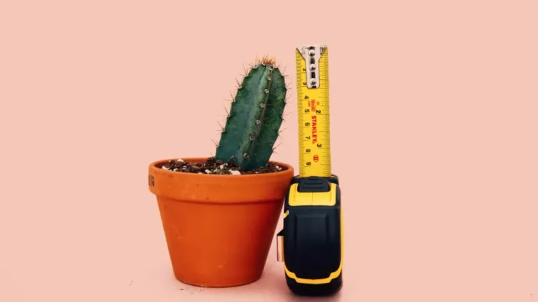 How do you measure an item in a photo