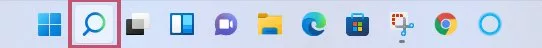 Search Icon