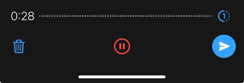 WhatsApp Make Messages Disappear - Hear Once - 1