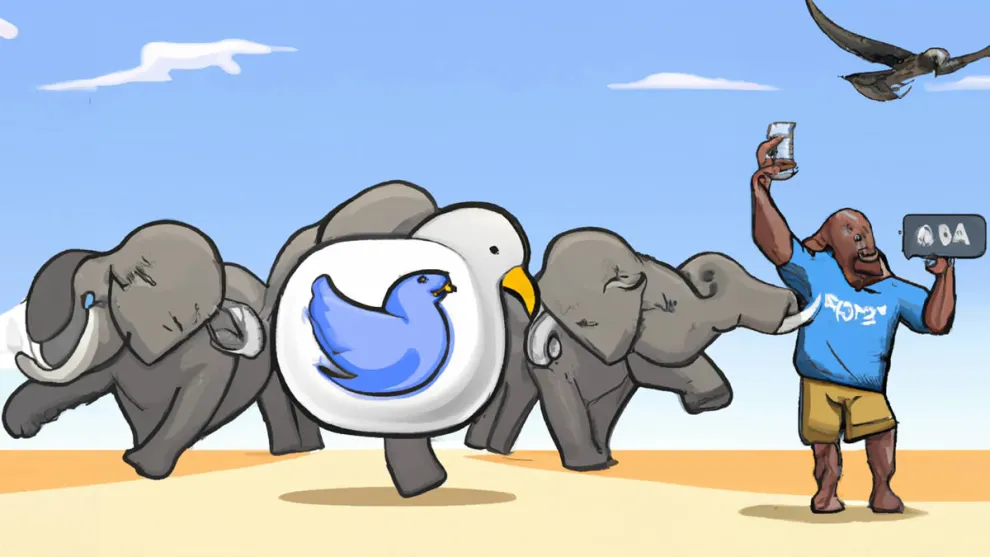 find twitter users on mastodon