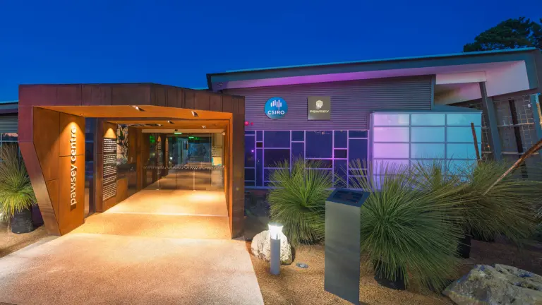 Australia Pawsey supercomputer Nvidia