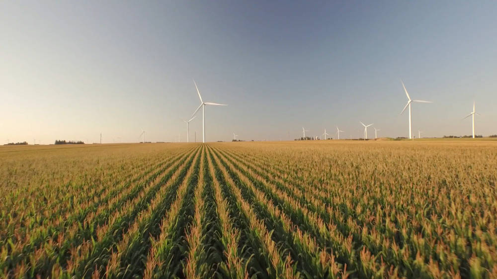 Meta Net Zero: Image of wind turbines in Iowa