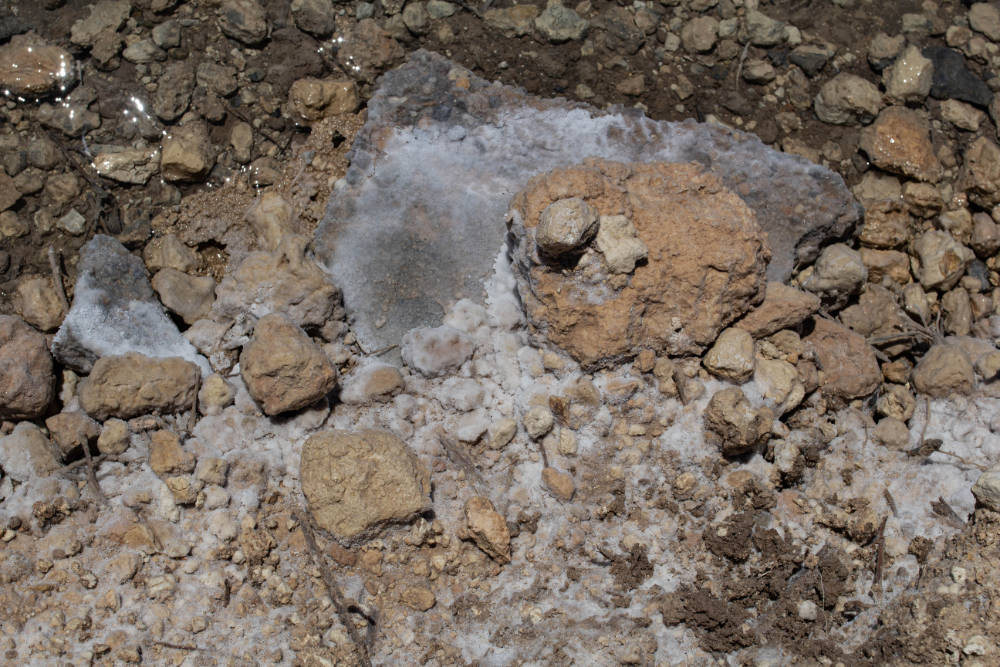 Orphan oil well leaking salt water to surface