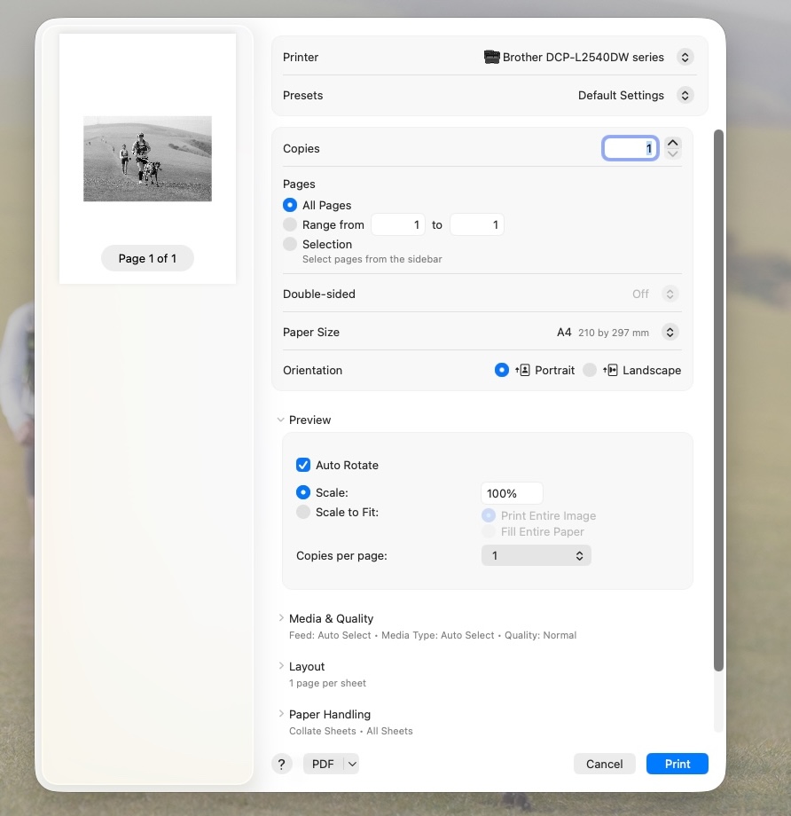 The macOS Preview print menu