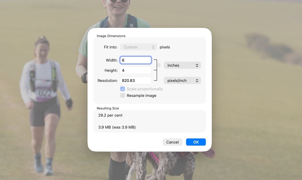 Adjust Size menu in the macOS Preview app