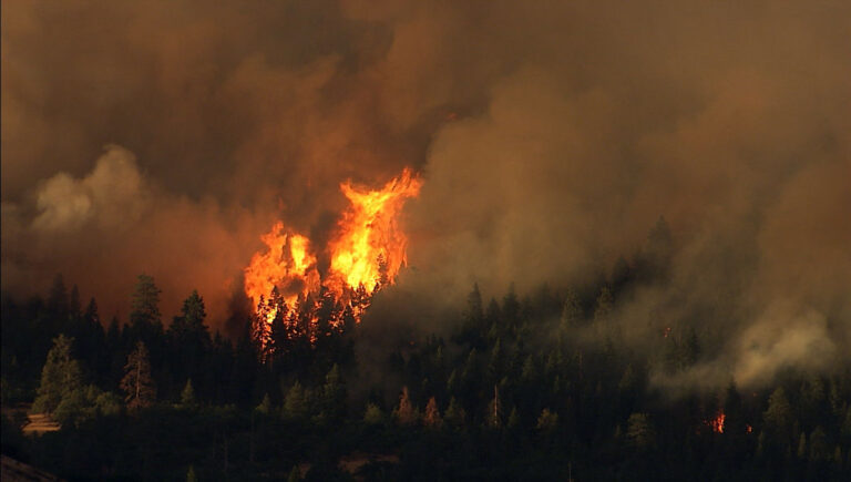 Raging wildfire to illustrated FireSat wildfire story