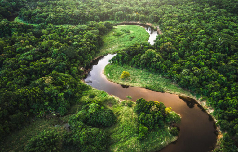 Aerial view of a winding river flowing through a lush, dense green tropical rainforest.