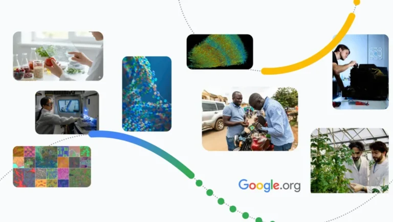 Google AI Science Projects image of winners