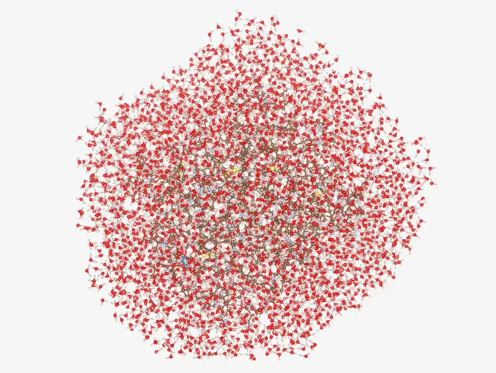 The 12,635-atom protein Trypsin