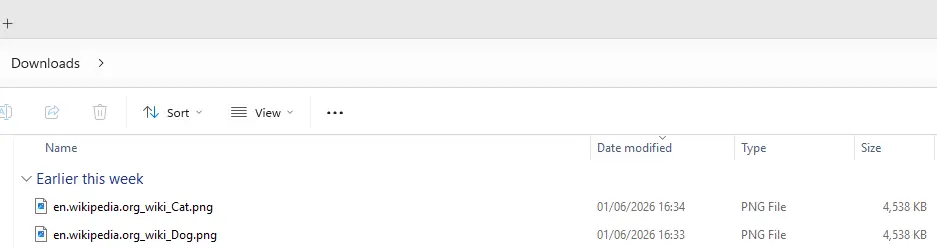 saved pages from chrome