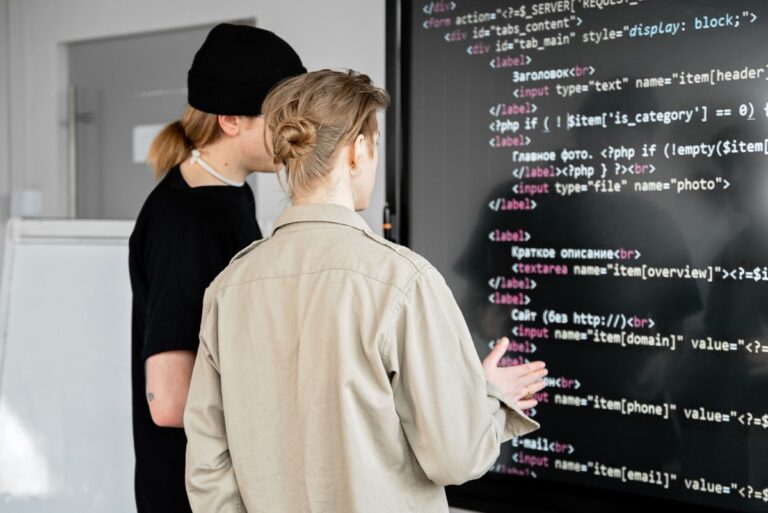 Software Development Company vs Freelancers